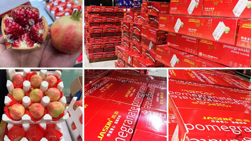 Solidariedade o ano todo — campanha de Festival do Meio-Outono da Jason em apoio aos agricultores