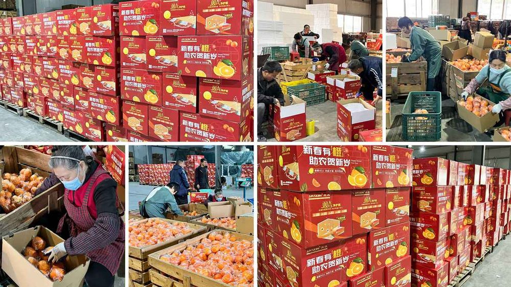 Solidariedade o ano todo — campanha de Ano Novo da Jason em apoio aos agricultores